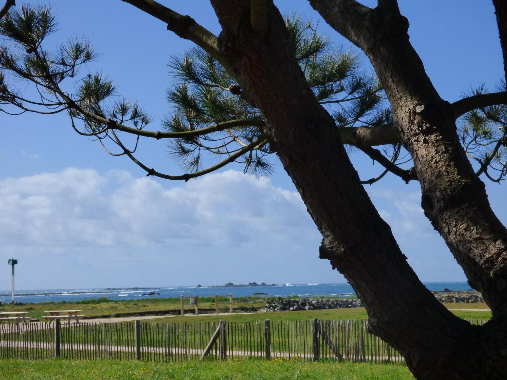 APPART-STUDIOS VUE MER PANORAMIQUE ST GUENOLE Côté Mer Penmarcʼh Camera foto